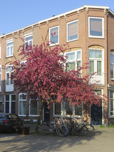 907557 Afbeelding van een bloeiende prunus op de hoek van de Johannes de Bekastraat en de Havikstraat te Utrecht.